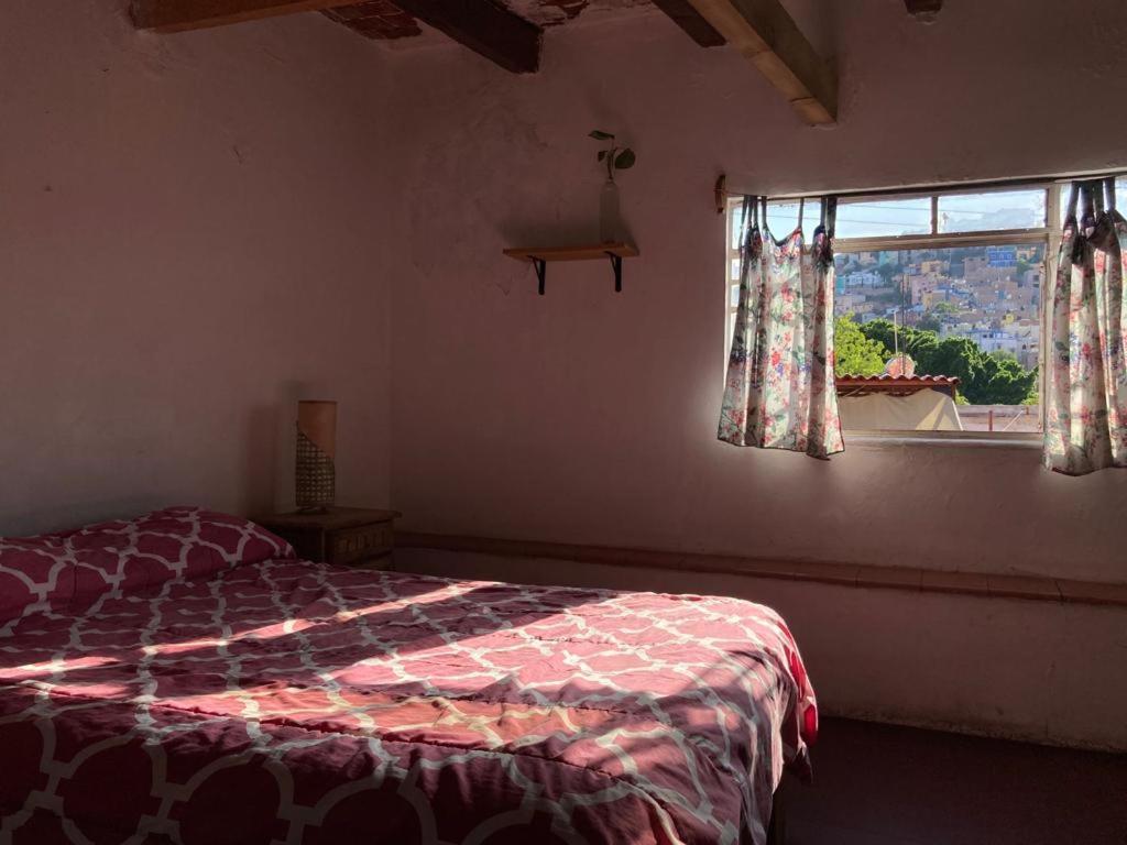 Hostalito Casa Alebrije Гуанахуато Экстерьер фото