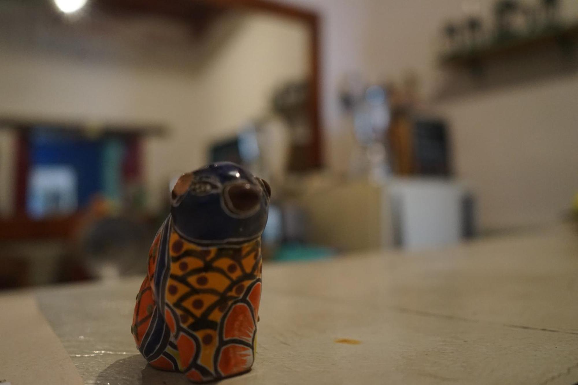 Hostalito Casa Alebrije Гуанахуато Экстерьер фото